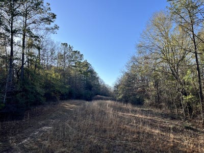 /international/us/county-road-39-selma-al-110100919032/