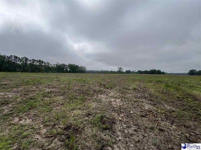 /international/us/harry-byrd-hwy-darlington-sc-110107268338/