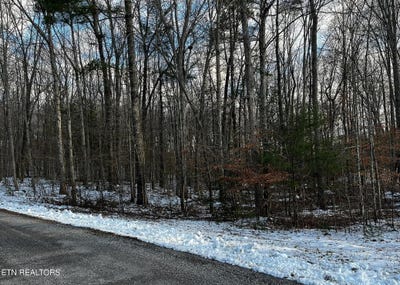 /international/us/lot-3-evergreen-drive-oneida-tn-110101313289/