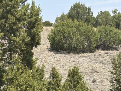 /international/us/lot-189-pinon-springs-ranches-magdalena-nm-110100625546/