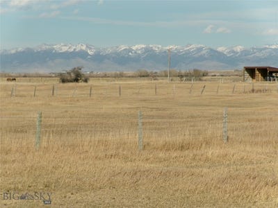 /international/us/1335-cattle-drive-dillon-mt-110106602704/