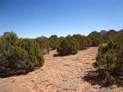 /international/us/tract-2a-camino-del-sol-nm-110120650742/