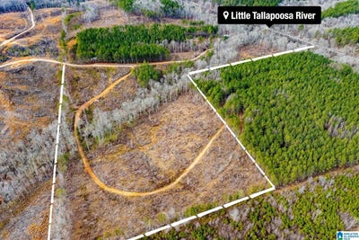 /international/us/1365-county-road-290-lot-0-muscadine-al-110108578114/