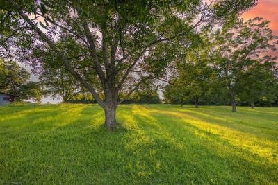 /international/us/32-acres-hesters-store-road-red-level-al-110100506259/
