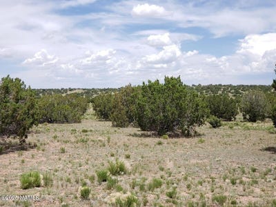 /international/us/9835-w-latigo-road-williams-az-110101350030/?lang=zh-tw