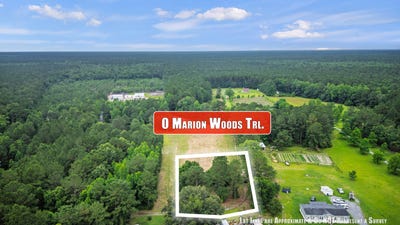 /international/us/1-marion-woods-trail-bonneau-sc-110107664326/