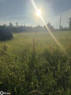 /international/us/lot-14-blk-3-lakeshore-drive-moravia-ia-110100410407/