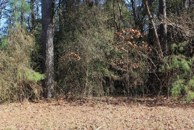 /international/us/sandpiper-lane-lot-20-atlantic-va-110106145207/