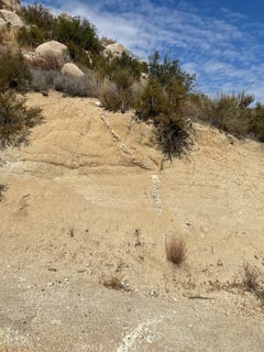 /international/us/0-spring-banning-ca-110108068866/