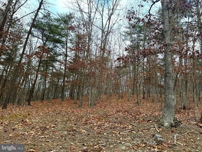 /international/us/6-beaver-run-road-burlington-wv-110101260600/