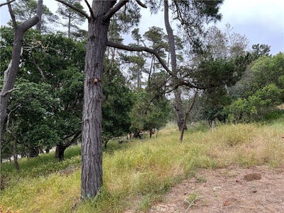 /international/us/0-norton-lane-cambria-ca-110092573820/