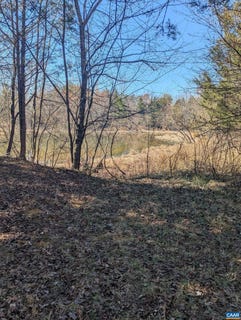 /international/us/goldfinch-ct-scottsville-va-110106279939/