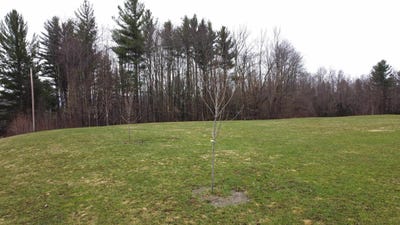 /international/us/315-north-hill-road-westfield-vt-110106258087/