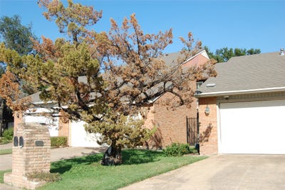 /international/us/708-carriage-way-duncanville-tx-110106921885/