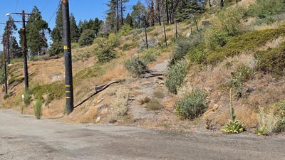 /international/us/53037-pine-view-drive-springville-ca-110119909512/