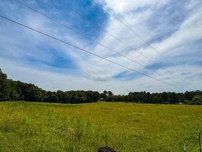 /international/us/county-road-496-lexington-al-110109408756/