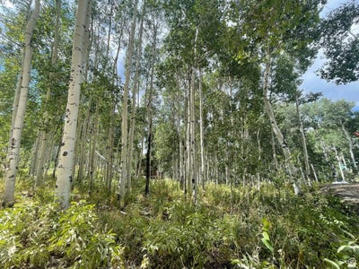 /international/us/11485-e-violet-way-heber-city-ut-110106478800/