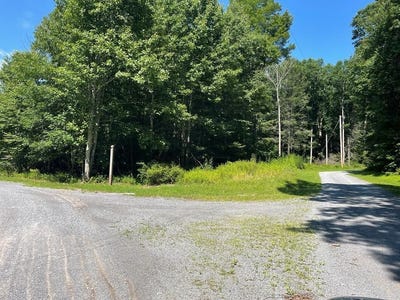 /international/us/gate-3-lot-31-clear-fork-va-110101637232/
