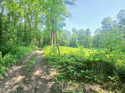 /international/us/00-kasson-road-topsham-vt-110101542121/?lang=id