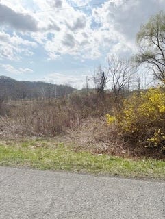 /international/us/ramsey-mountain-rd-max-meadows-va-110106493978/