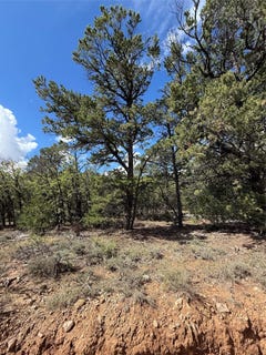 /international/us/san-pedro-estates-regina-nm-110107460854/
