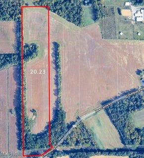 /international/us/columbiana-road-new-springfield-oh-110104550188/