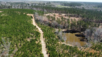 /international/us/highway-478-new-hebron-ms-110102215338/