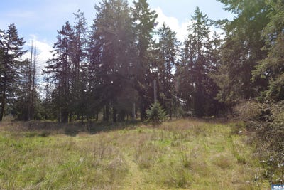 /international/us/999-w-silberhorn-rd-sequim-wa-110107003495/