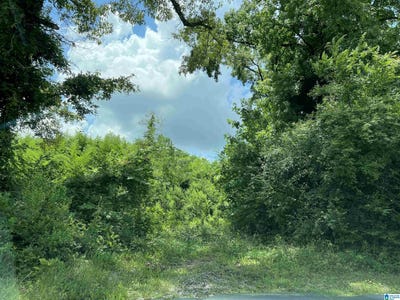 /international/us/5584-highway-25-montevallo-al-110099723102/