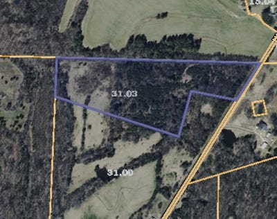 /international/us/highway-195-williston-tn-110106001961/