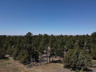 /international/us/tbd-pine-avenue-upton-wy-110108128258/