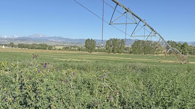 /international/us/tbd-w-county-rd-4e-berthoud-co-110109005478/