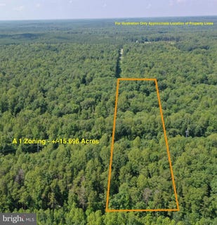 /international/us/lot-1-wards-forest-ave-beaverdam-va-110100945813/