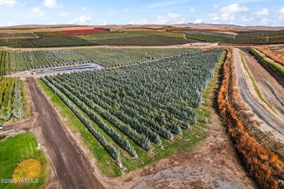 /international/us/370-macy-rd-zillah-wa-110103268338/