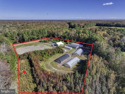/international/us/30402-jay-patch-road-selbyville-de-110103168804/