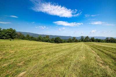 /international/us/tbd-esther-s-lookout-shenandoah-va-110100777580/