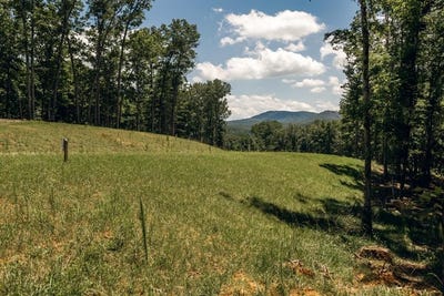 /international/us/lt-133-ridges-of-blue-ridge-morganton-ga-110099577003/