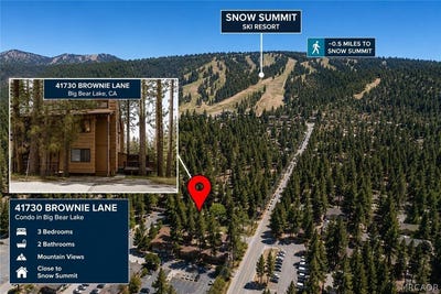 /international/us/41730-brownie-big-bear-lake-ca-110106028647/