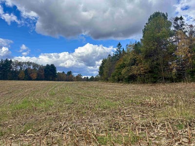 /international/us/lily-pond-road-lot-7-lyndon-vt-110120410285/