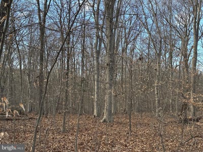/international/us/3515-clayton-road-joppa-md-110097516537/