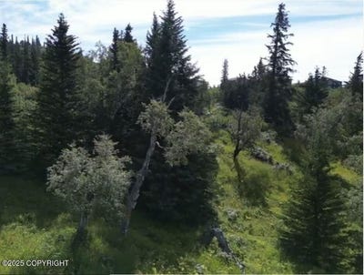 /international/us/l6-panoramic-circle-anchorage-ak-110102065148/