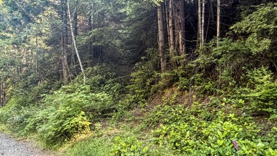/international/us/503-e-sudan-creek-road-waldport-or-110109190982/