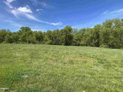 /international/us/12-245-birchbark-court-lake-carroll-il-110105730825/