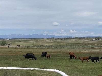 /international/us/346-county-road-321-ignacio-co-110108617142/?lang=zh-tw