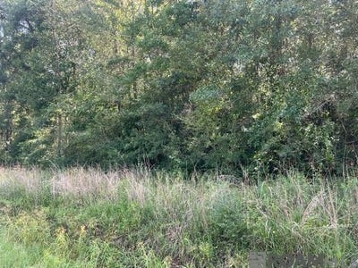 /international/us/lot-19-trap-st-abita-springs-la-110101405006/?lang=zh-tw