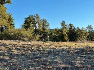 /international/us/4226-alabama-avenue-los-alamos-nm-110097979824/