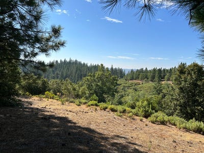 /international/us/sheep-ranch-road-murphys-ca-110093776903/