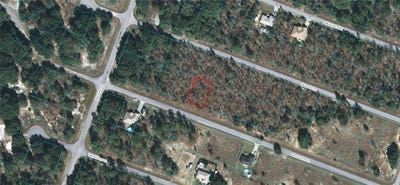 /international/us/00-malauka-radial-ocklawaha-fl-110066696237/