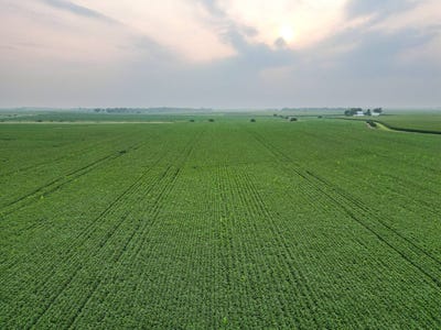 /international/us/000-county-road-2700-e-rutland-il-110097636375/?lang=zh-tw