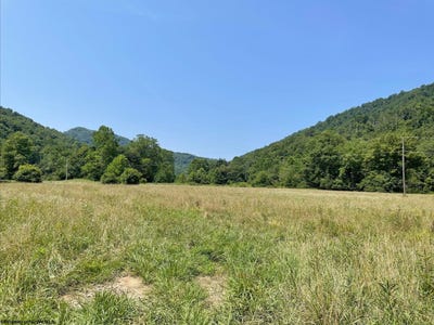 /international/us/245-whiteoak-road-erbacon-wv-110102950930/